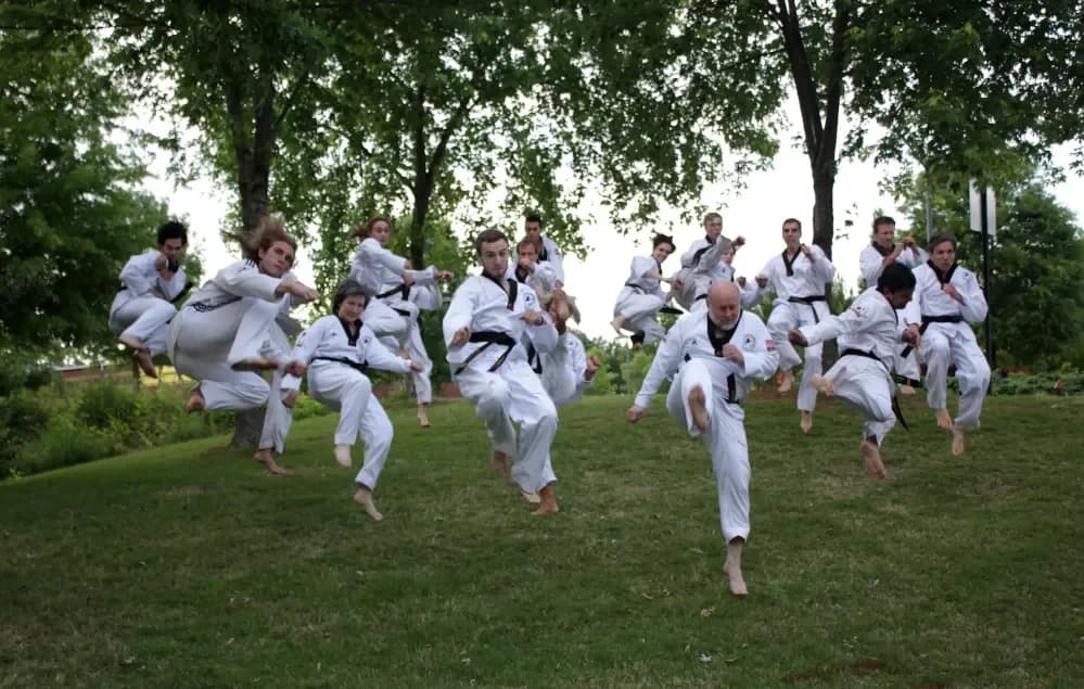 Dae Han Martial Arts Taekwondo photo 2
