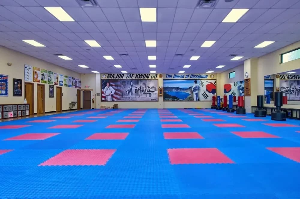Major Tae Kwon DO photo 2