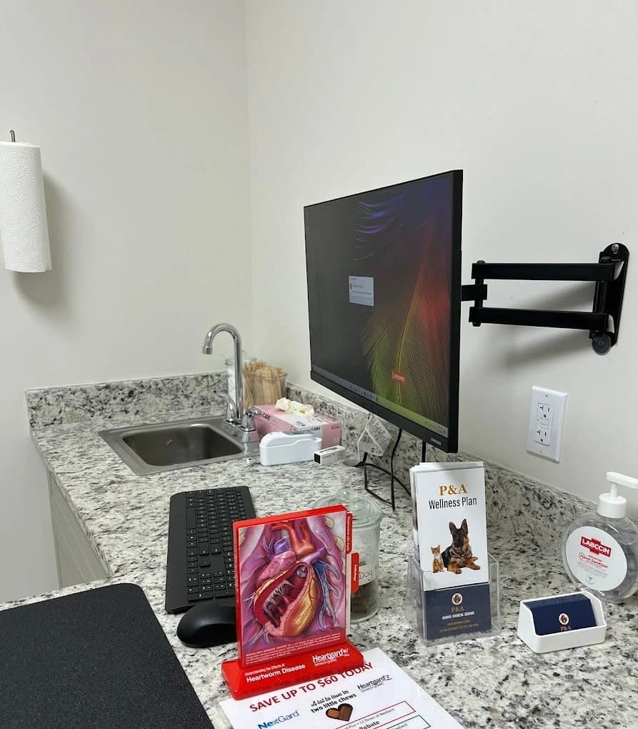 P&A Animal Medical Center (Animal Hospital) photo 4