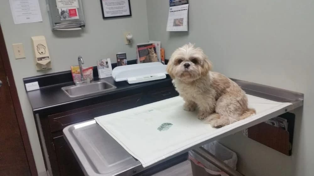 Pleasant Hill Animal Hospital photo 2