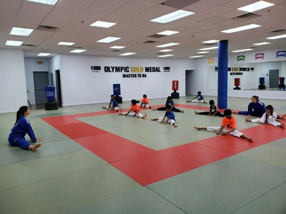 Two Gold Taekwondo