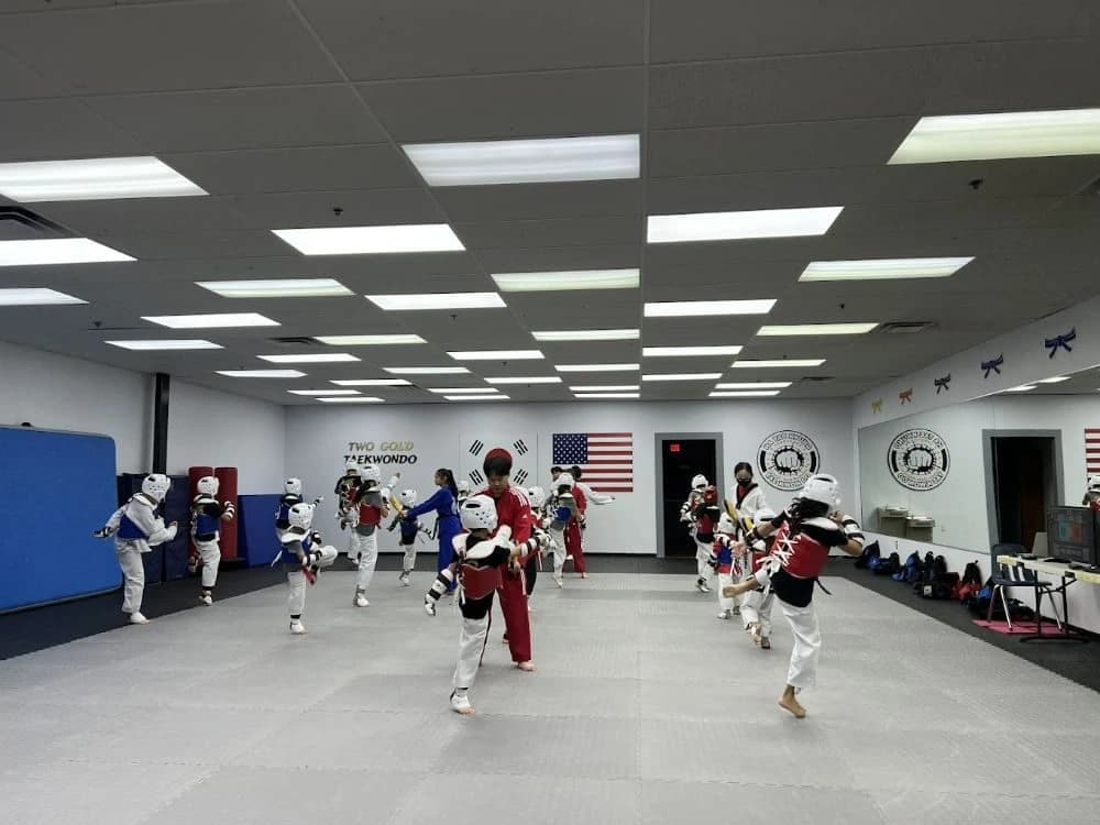Two Gold Taekwondo photo 2
