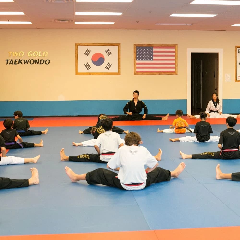 Two Gold Taekwondo photo 3