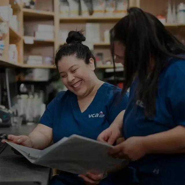 VCA Falcon Village Animal Hospital