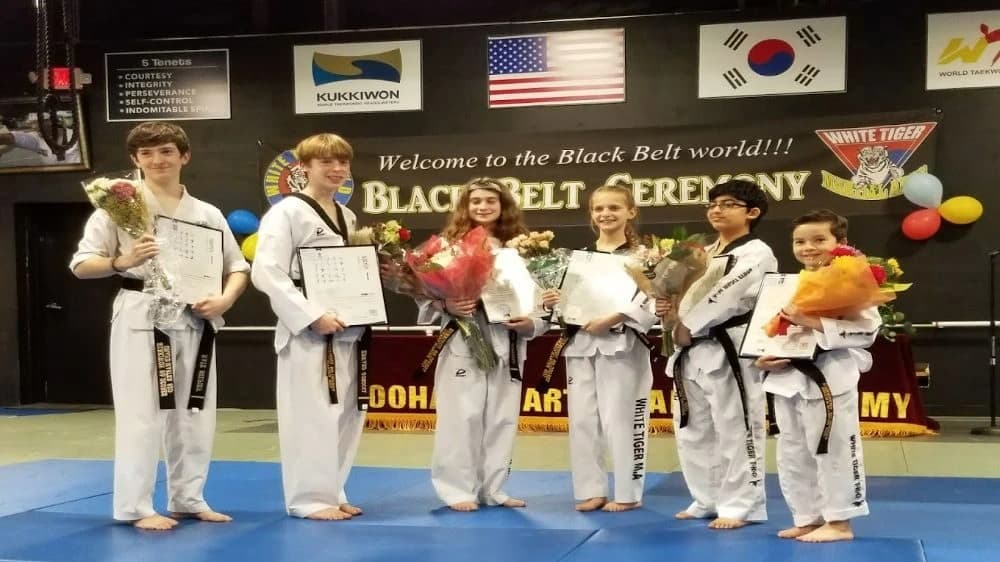 White Tiger Martial Arts photo 3