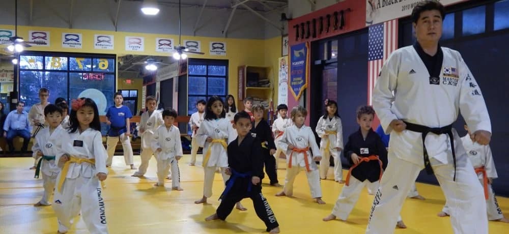 World Class Taekwondo photo 5