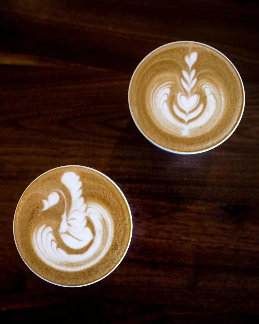 Blue Mountain Coffee Roasters-Suwanee