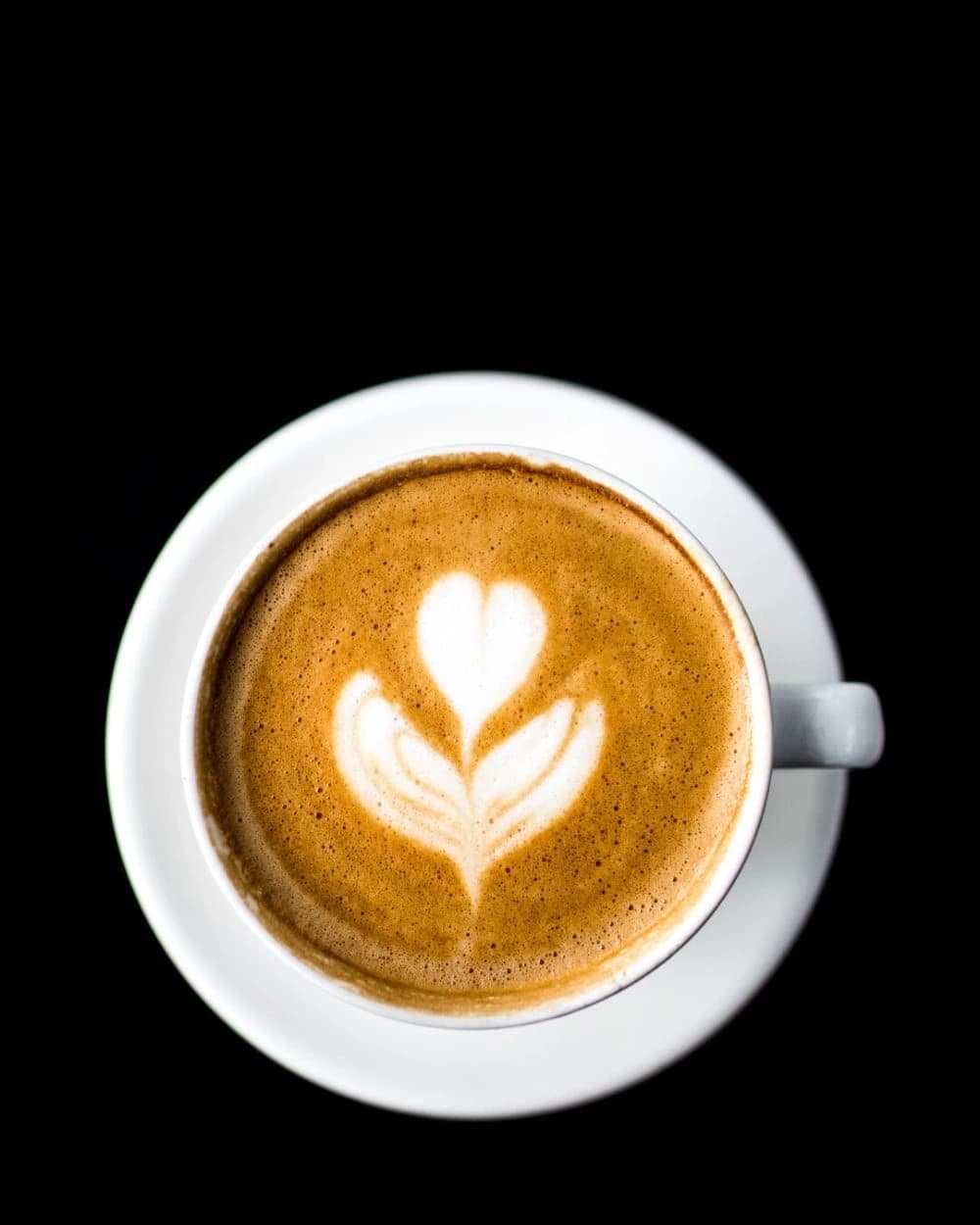 Blue Mountain Coffee Roasters-Suwanee photo 3